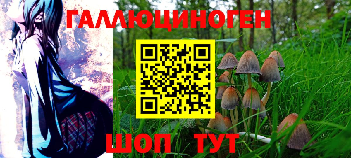 Псилоцибиновые грибы GOLDEN TEACHER Березники